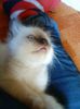 DSC00616