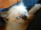 DSC00619