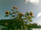 08092013(002)