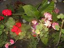 DSCN6535