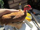 IMG_1919