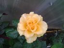 20130828_142512