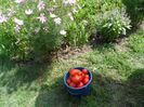 SAM_0858