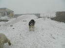 DSCN0237