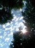 Image045