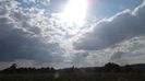 DSCF4254