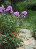 DSC00075