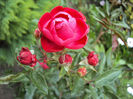 DSC00022