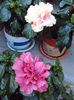 DSC09839
