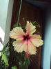 DSC09964