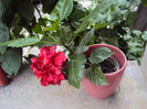 DSC00031