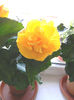 DSCN7107