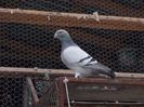 DSCN3674