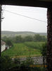 Picture 1002