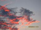 Picture 099