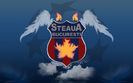 Ce-risca-STEAUA