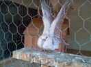 Photo0270