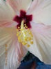 12 septembrie 2013-flori 048