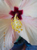 12 septembrie 2013-flori 049
