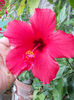 12 septembrie 2013-flori 120