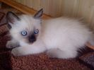 DSC00652