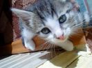 DSC00688