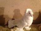 ISTANBUL-GREECE-CYPRUS 253