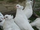 ISTANBUL-GREECE-CYPRUS 316