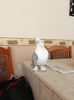 ISTANBUL-GREECE-CYPRUS 353