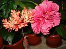 DSC09255