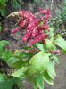 DSCN1485