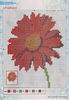 IMAGE0030