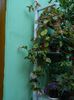 DSCN1146