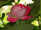 DSCN1263