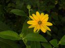 DSCN1275