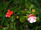 DSCN1301