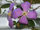 DSCN1335
