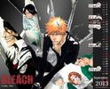 #1BLEACH