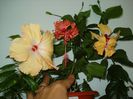 DSC09328