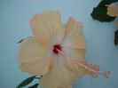 DSC09332
