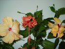 DSC09325