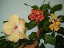 DSC09326