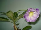 DSC09307