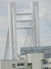 DSCN3106