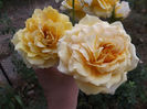 DSCF5851