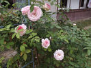 DSCF5878