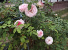DSCF5879