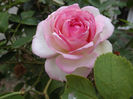 DSCF5881