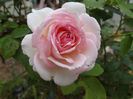 DSCF5882