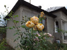 DSCF5891